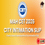 MAH CET City Intimation 2026 Live Updates logo